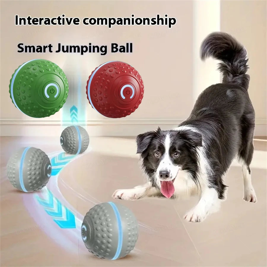 Interactive Smart Ball Toy for Dogs & Cats – USB Rechargeable