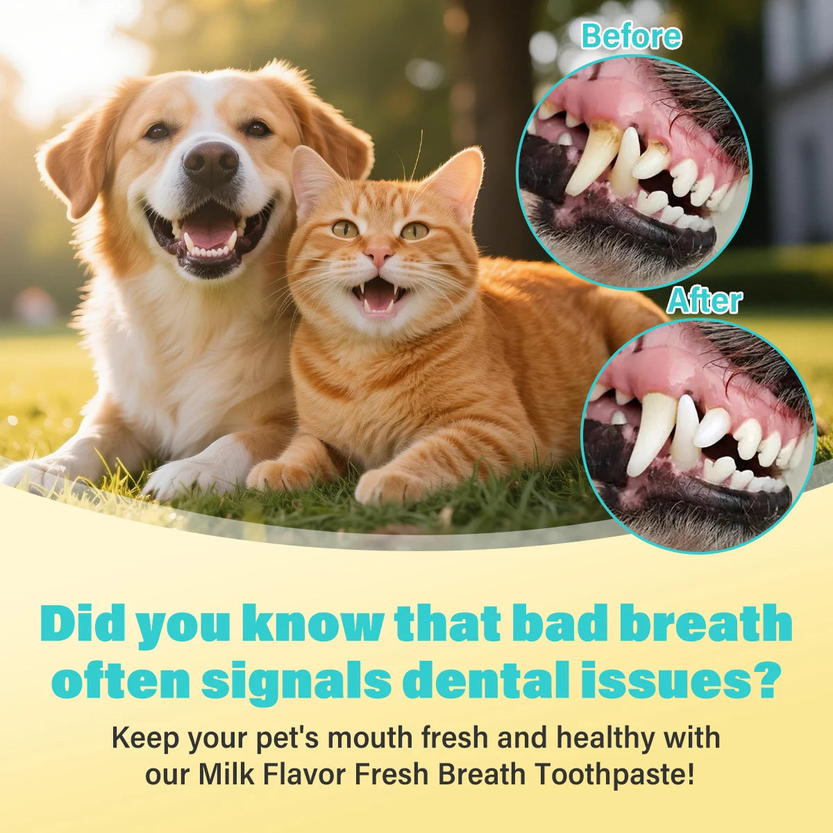 Dog & Cat Dental Care Kit – Toothpaste & Toothbrush