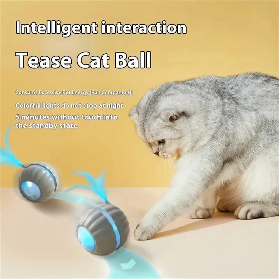 Interactive Smart Ball Toy for Dogs & Cats – USB Rechargeable