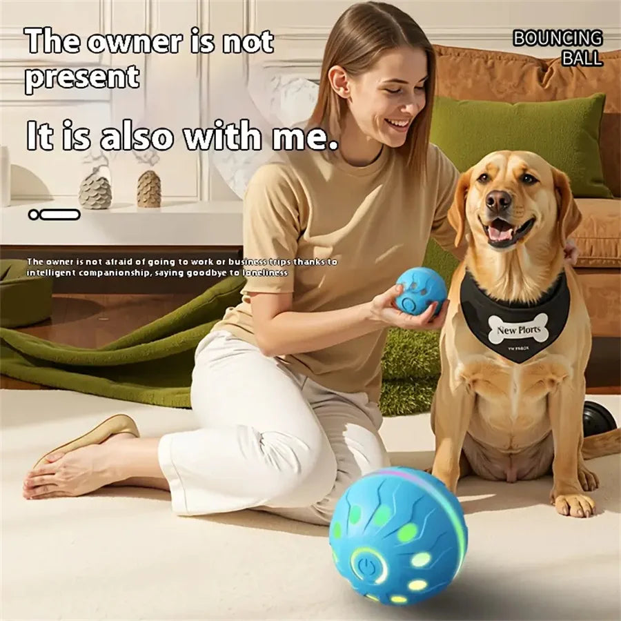 Interactive Smart Ball Toy for Dogs & Cats – USB Rechargeable