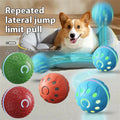 Interactive Smart Ball Toy for Dogs & Cats – USB Rechargeable