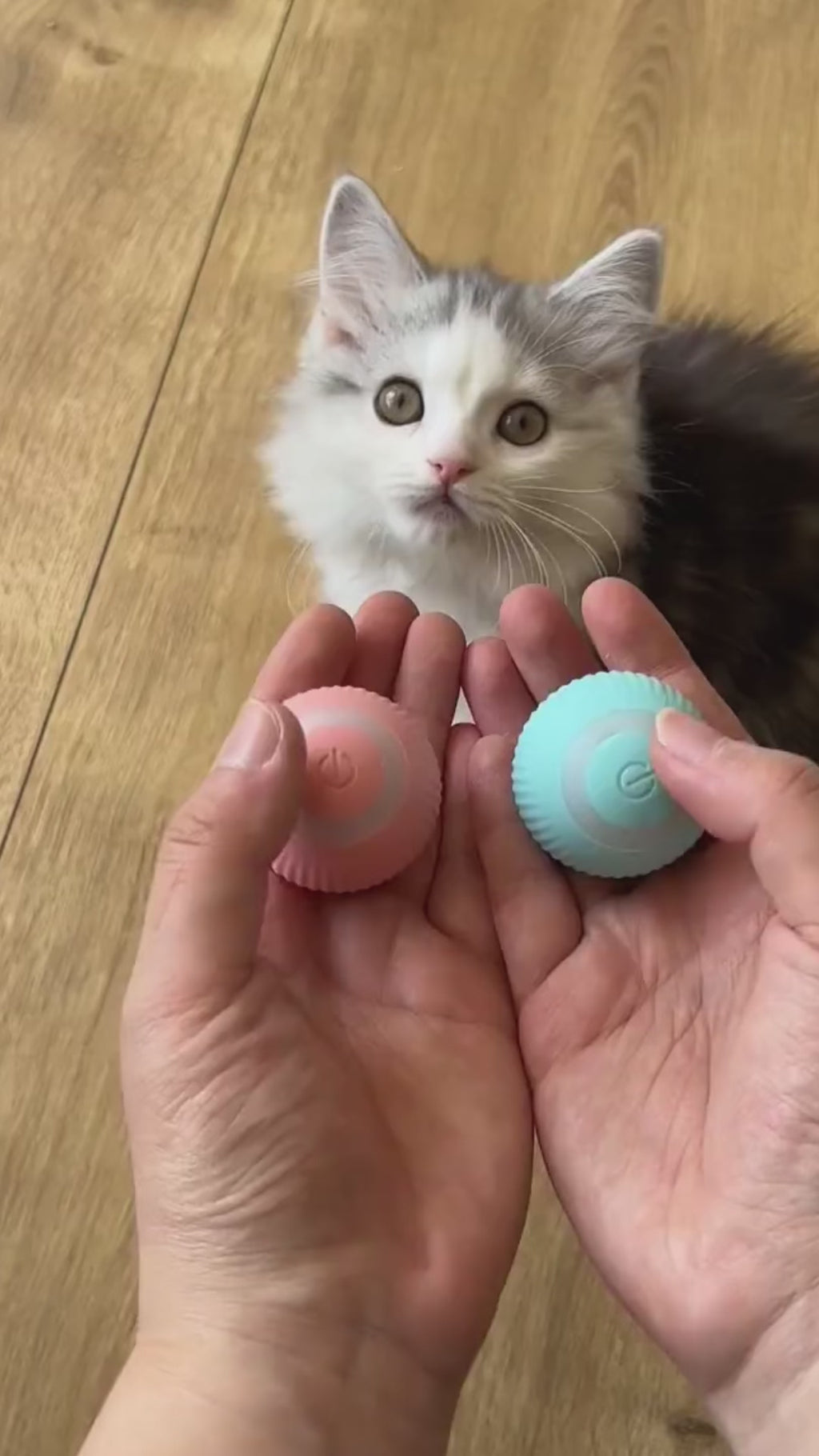 Interactive Smart Ball Toy for Dogs & Cats – USB Rechargeable